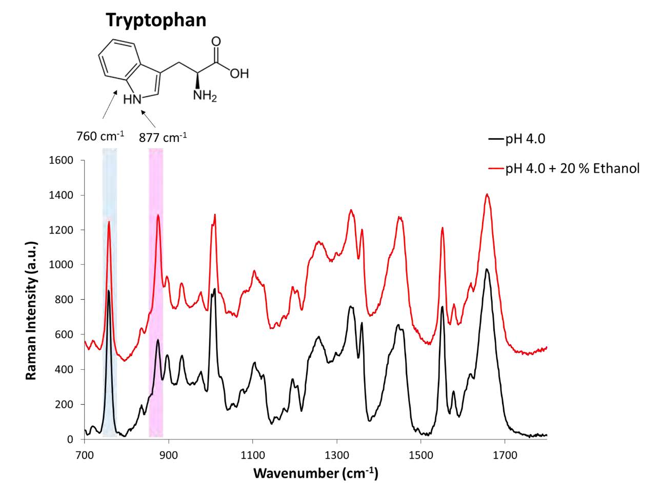 Raman Analysis of lysozyme Raman Analysis of lysozyme