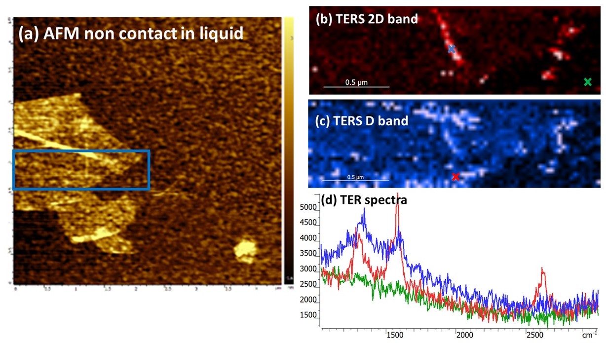 AFM-TERS measurements in a liquid environment with side illumination/collection AFM-TERS measurements in a liquid environment with side illumination/collection