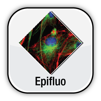 EpiFluorescence Logo