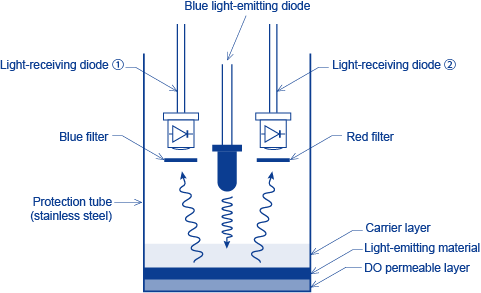 Figure 4 Schematic Diagram of a DO Detector for the Fluorescence Method
