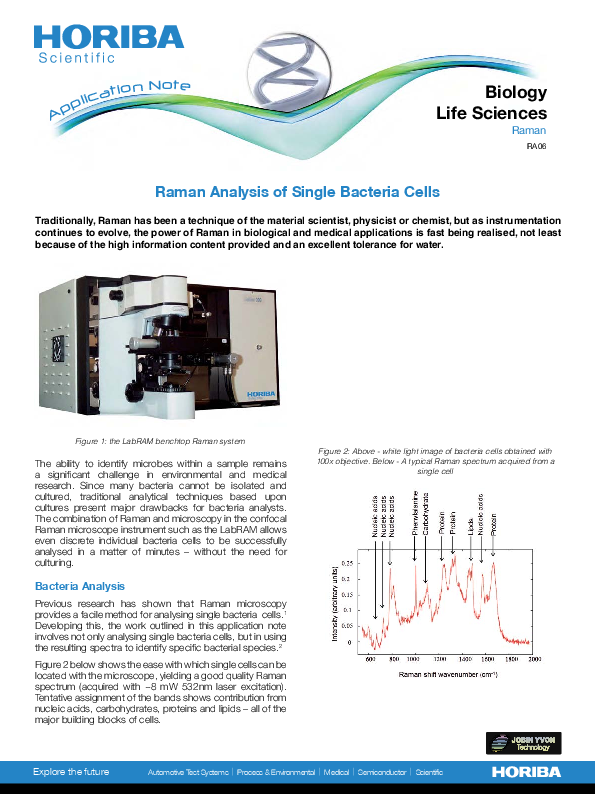 Raman Analysis of Single Bacteria Cells thumbnail