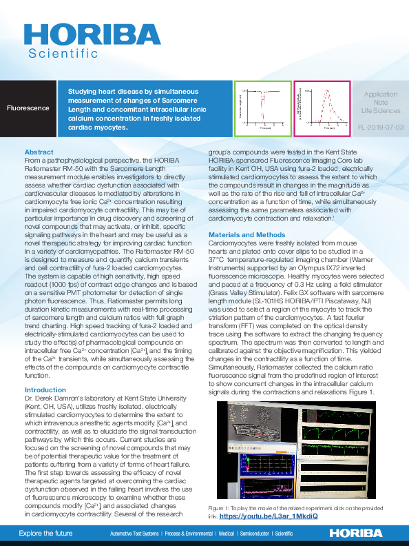 Studying heart disease by simultaneous measurement of changes of Sarcomere Length thumbnail