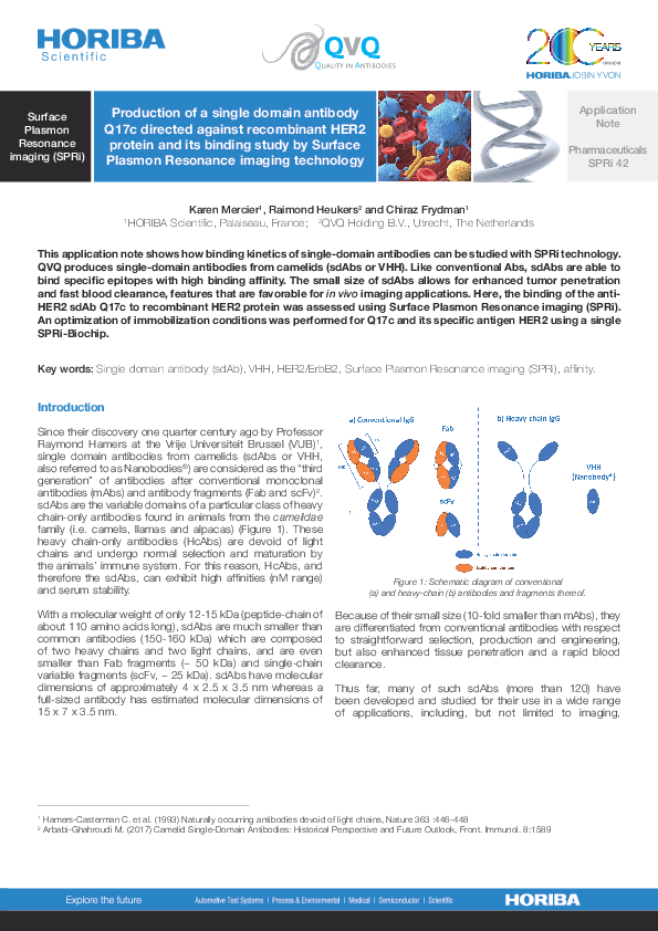 Production of a single domain antibody Q17c directed against recombinant HER2 protein and its binding study by Surface Plasmon Resonance imaging technology thumbnail