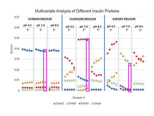 Insulin Structure and Stability Assessment
