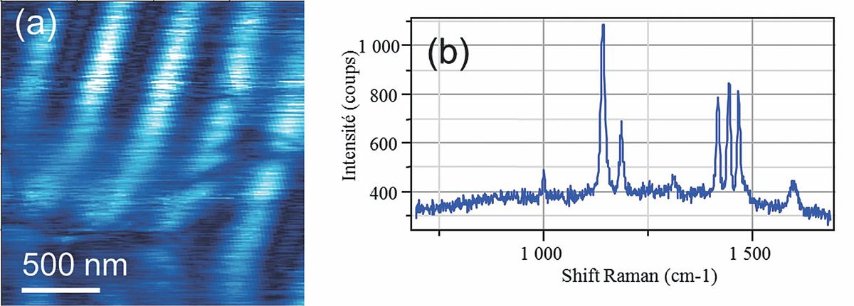 Detection and nanoscale Raman mapping of molecular layers down to single molecule layers self-assembled on the surface (SAM).