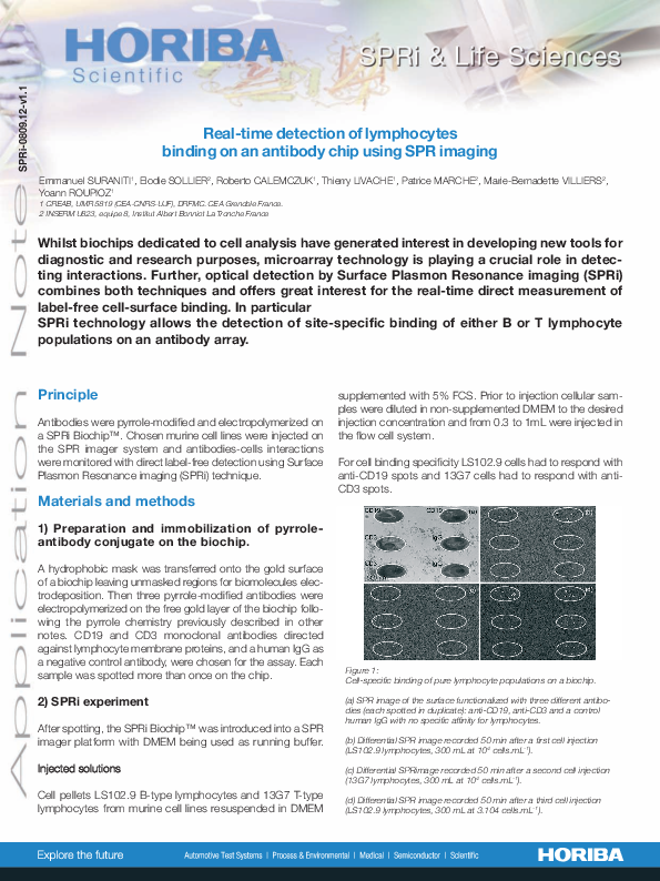 Real time detection of lymphocytes thumbnail