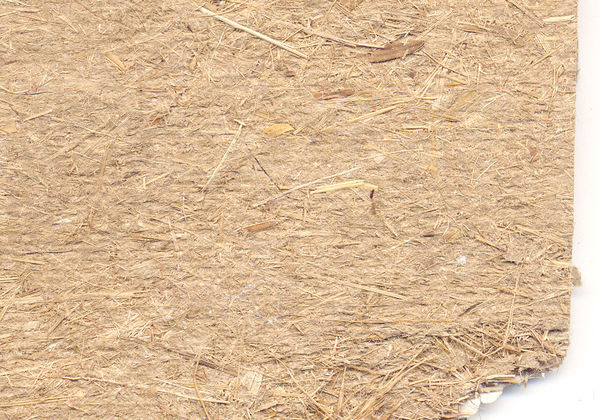 Cellulose fibers in paper Cellulose fibers in paper