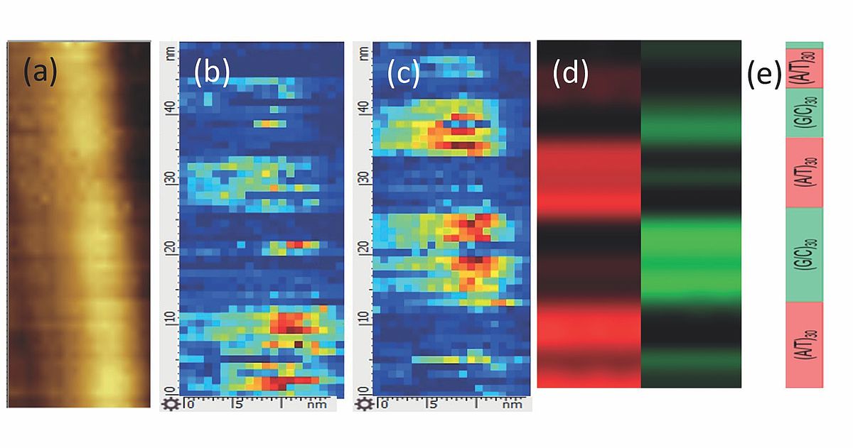 TERS offers several benefits in studying biomolecules compared to other spectroscopic and microscopic techniques.