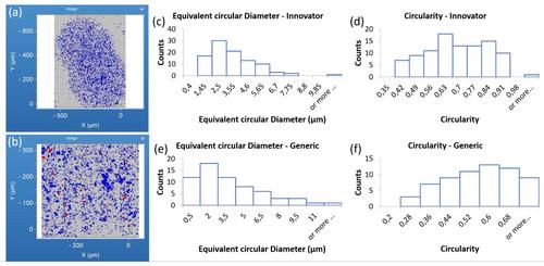 Morphological and chemical characterization of pharmaceutical formulations