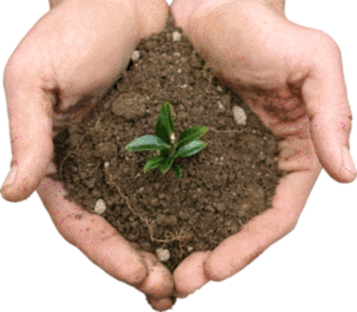 Measurement of Potassium in Soil