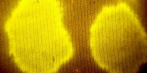 Detection of Body Fluids with an Alternate Light Source