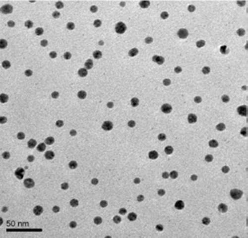 Metal Nanoparticle Size and Surface Charge (Zeta Potential)