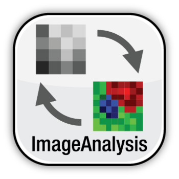 Image Analysis and Display