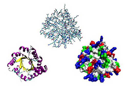 Zeta Potential of Proteins