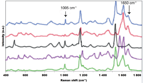 Identification of airborne pollen by Raman spectroscopy
