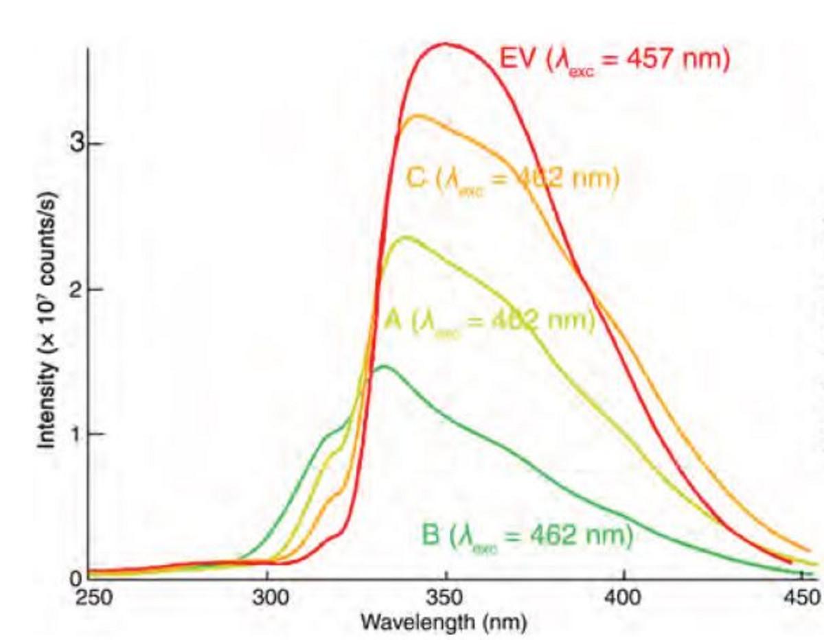 Characterizing Galvanizing Bath with Fluorescence