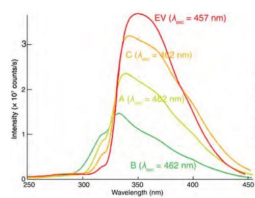 Characterizing Galvanizing Bath with Fluorescence