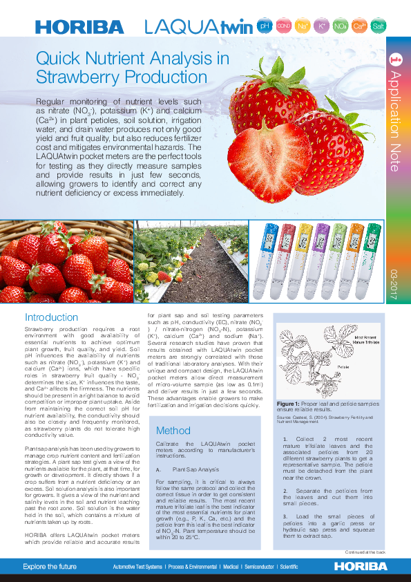 Quick Nutrient Analysis in Strawberry Production thumbnail