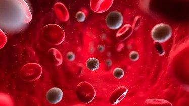 Hematology Blood Cell_Image_HORIBA Medical