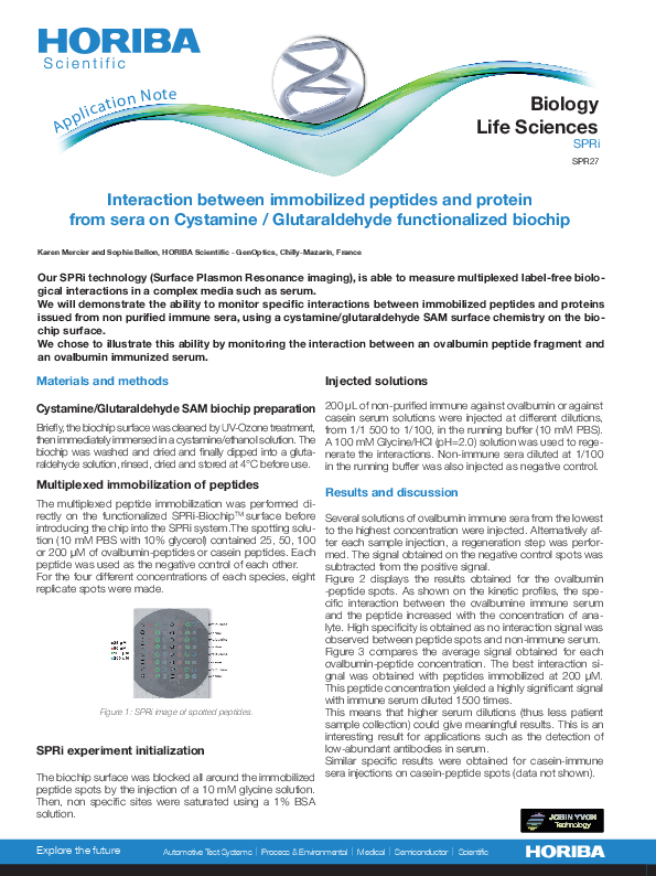 Interaction between immobilized peptides and protein from sera on Cystamine / Glutaraldehyde functionalized biochip thumbnail