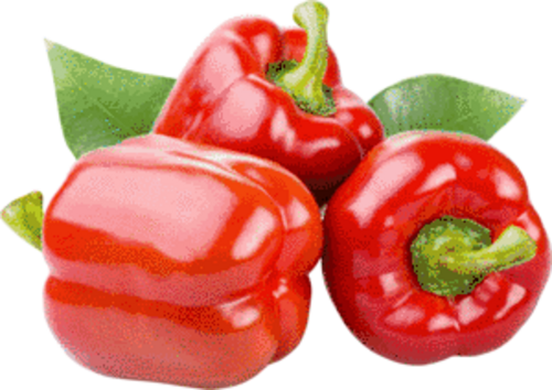 Conductivity and Elephant's Foot Testing