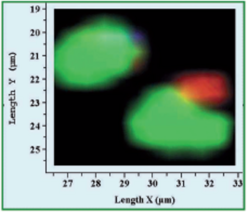 Raman Analysis and characterization of pharmaceuticals