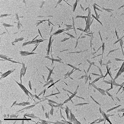 Particle Size Analysis of TEMPO-Oxidized Cellulose Nanocrystal