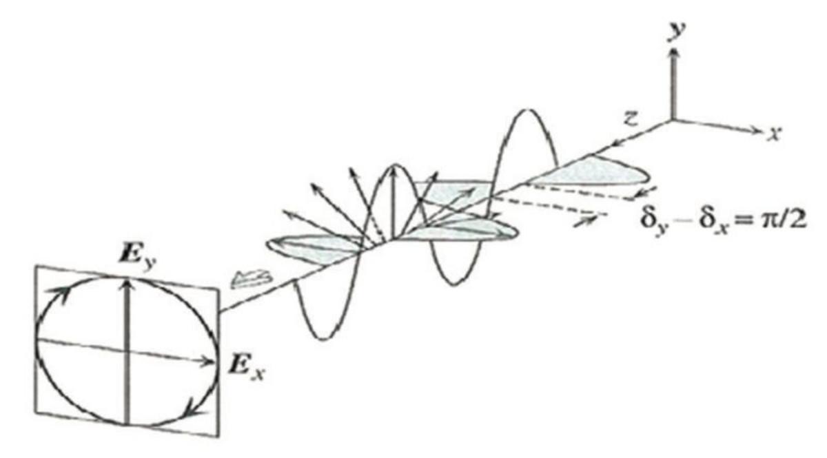 Circular polarization.