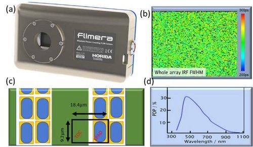 FLASH-FLIM measurements with the FLIMera TCSPC Camera