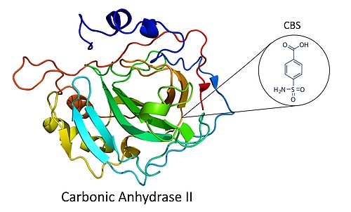 The Detection of a Low Molecular Weight Enzyme Inhibitor using the OpenPlex system The Detection of a Low Molecular Weight Enzyme Inhibitor using the OpenPlex™ system