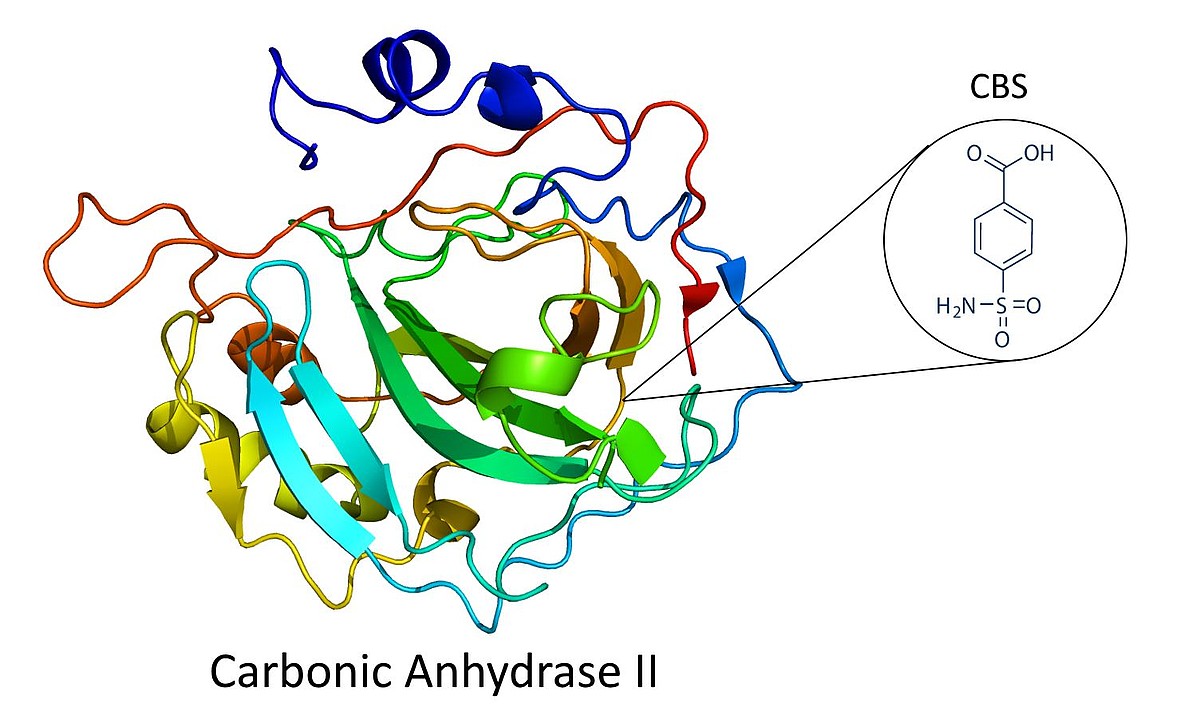 The Detection of a Low Molecular Weight Enzyme Inhibitor using the OpenPlex™ system The Detection of a Low Molecular Weight Enzyme Inhibitor using the OpenPlex™ system