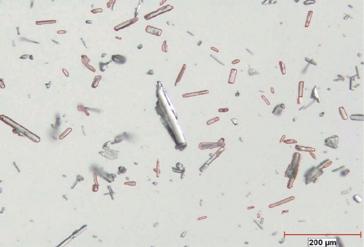 API image taken by PSA300