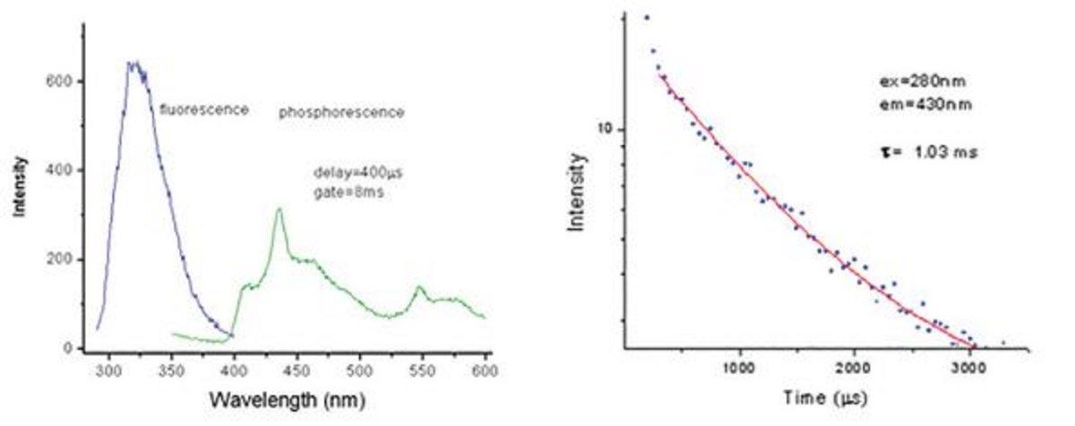 Discrimination between strong fluorescence and weak room temperature phosphorescence from RNase T1 tryptophan