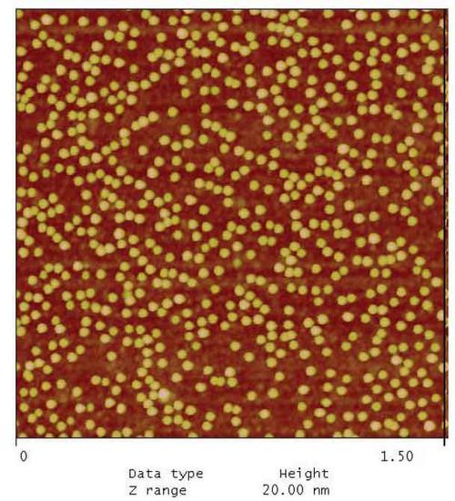 Ellipsometric Characterization and Modeling of Different Types of Nanoparticles