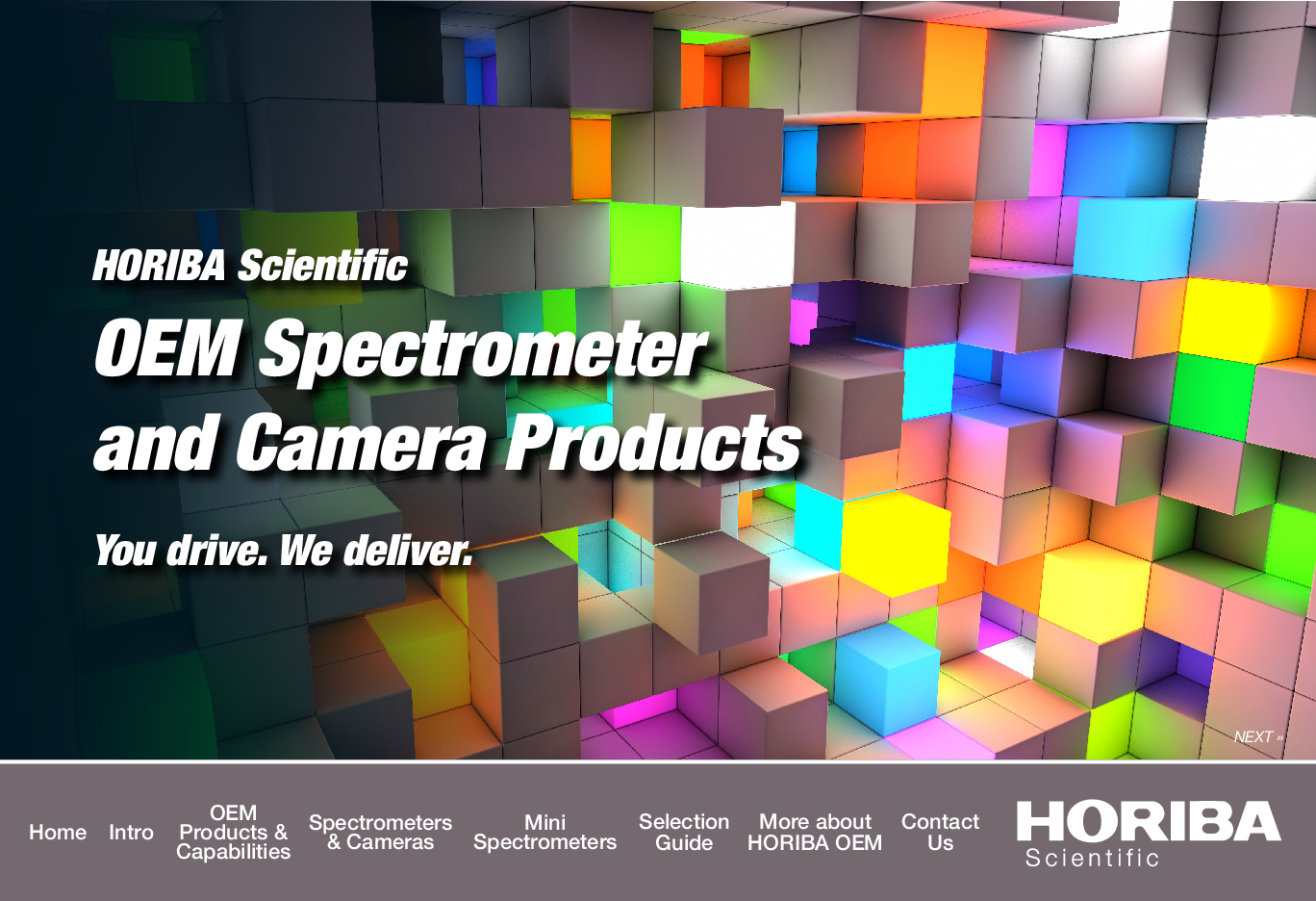 OEM Spectrometer and Camera Products thumbnail