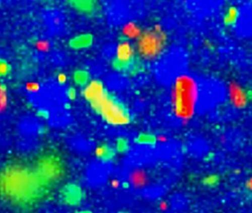Valuable analysis tool for cosmetics and skin characterization Valuable analysis tool for cosmetics and skin characterization