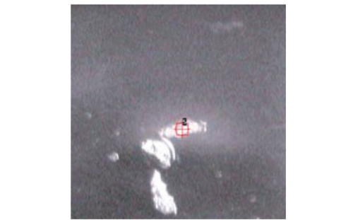 Micro-XRF analysis for metal debris and particle analysis