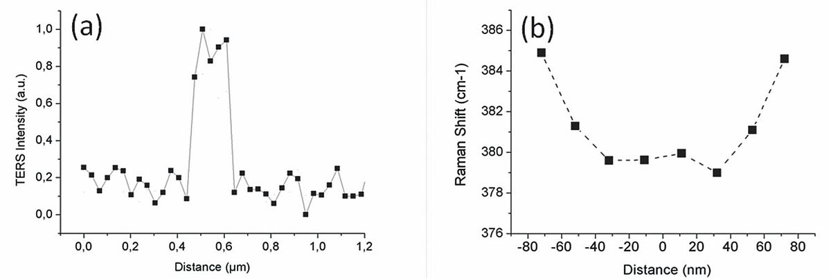 TERS imaging of semiconducting nanostructures.