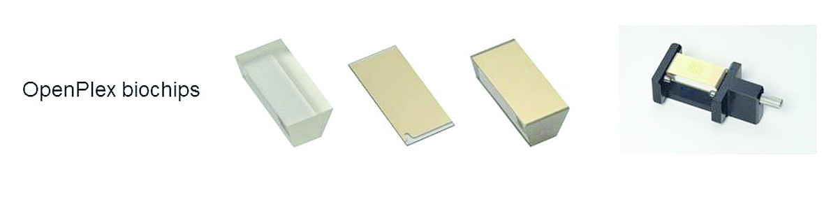 Difference between SPRi- Biochips and SPRi-Slide (or SPRi- XelSlide).