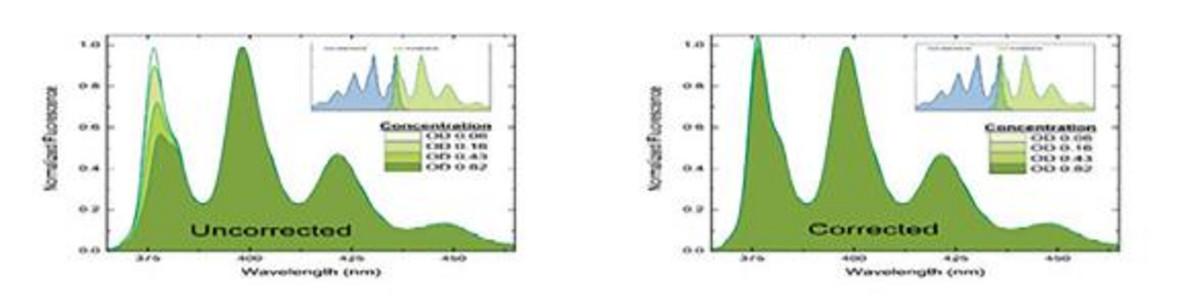 Spectral consequence of the inner filter effect