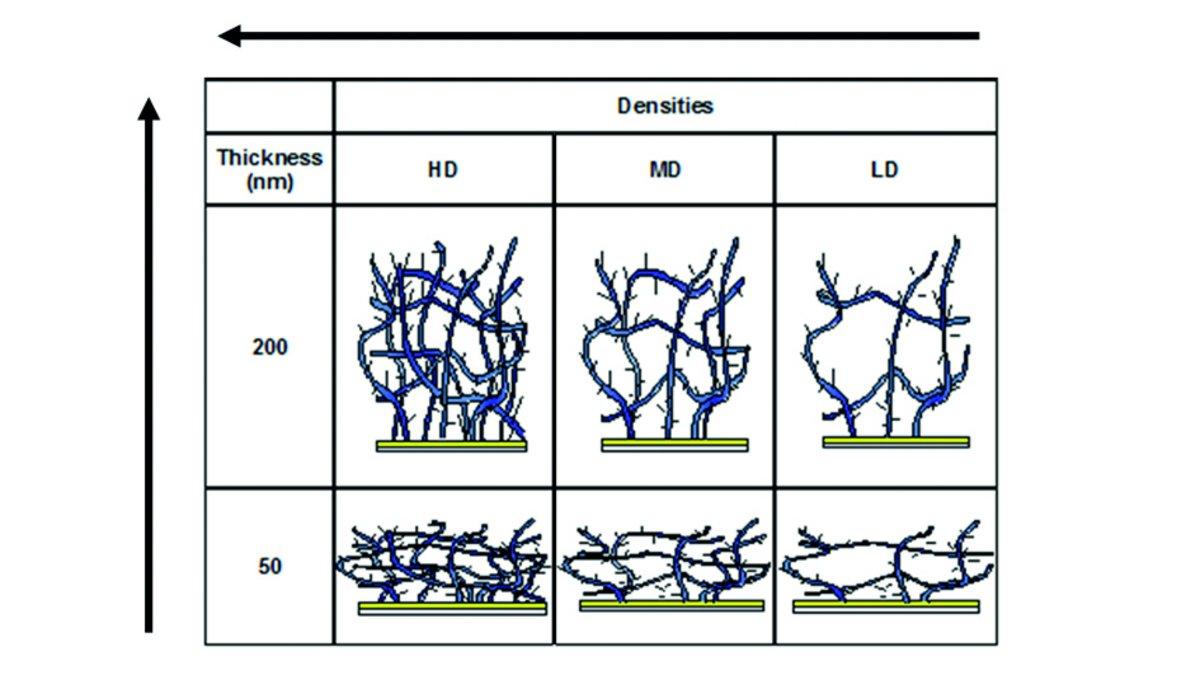 Scheme of the hydrogel structure according to the density and the thickness.