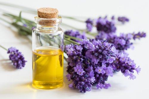 A-TEEM Fluorescence Spectroscopy for the Quick Detection of Adulteration in Lavender Essential Oils