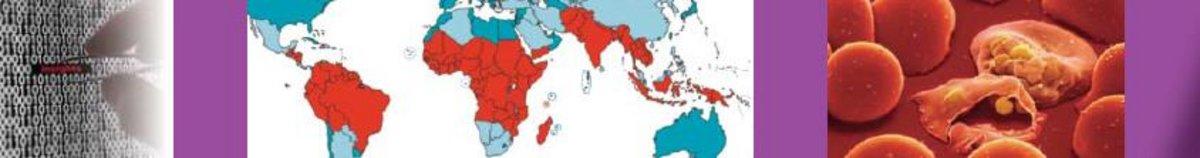Malaria_screening_data-map-cell_picture_HORIBA_Medical