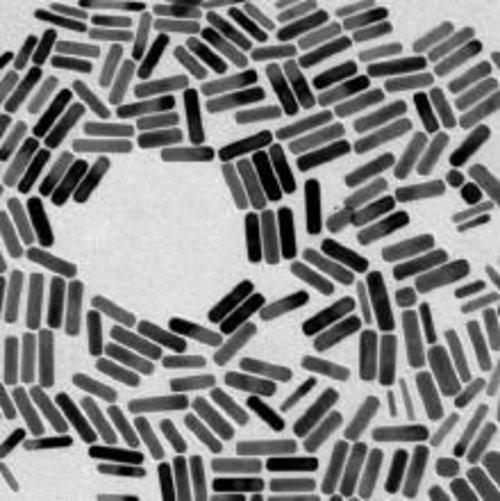 Analysis of Particle Size Distribution of Rod Shaped Gold Nanoparticle