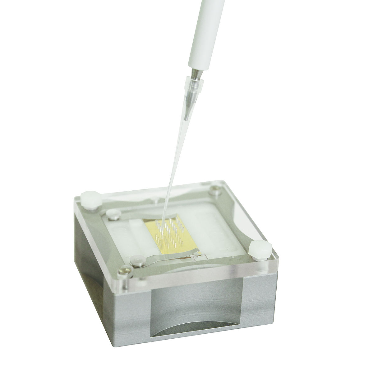 Micropipette spotter.