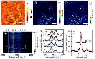 Correlated TERS and KPFM of Graphene Oxide Flakes