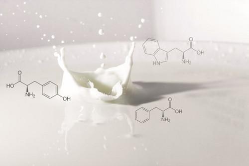Milk compounds characterization by optical spectroscopies and laser diffraction