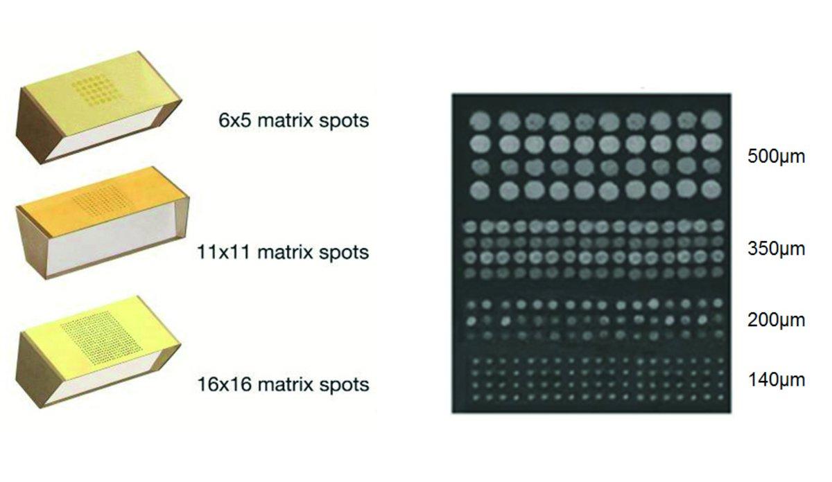 Printing obtained with the SPRi-Arrayer and different pin sizes.