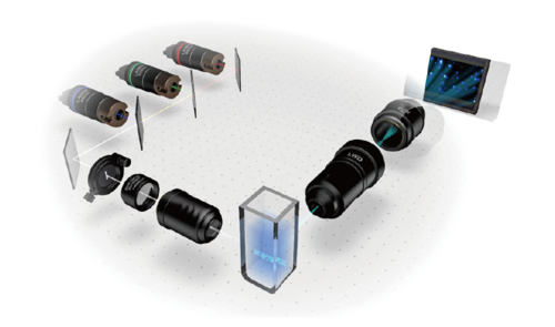 Comparison of Extracellular Vesicle Purification Methods