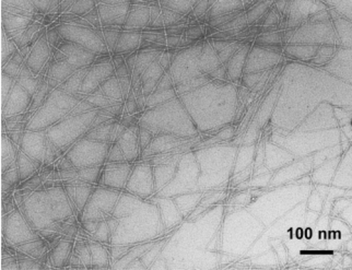 Particle Sizing of Cellulose Nanofiber